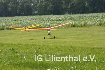 wieder gelandet wieder gelandet