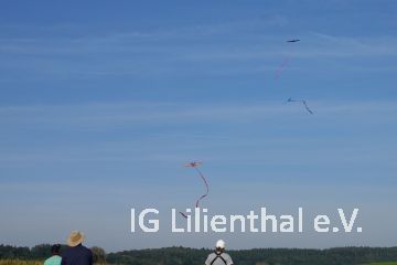 Die Jagd beginnt. Die Jagd beginnt.