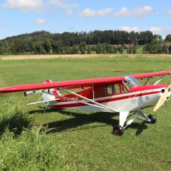 Piper PA 18 Super Cup