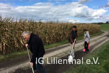 Materialverteilung Materialverteilung