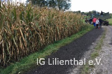 neuer Zustand neuer Zustand