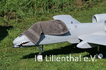 alle leiden alle leiden