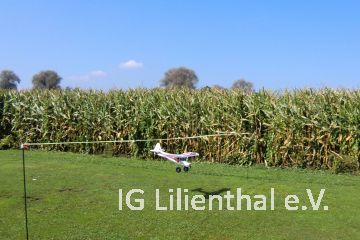 Erfolgreich! Erfolgreich!