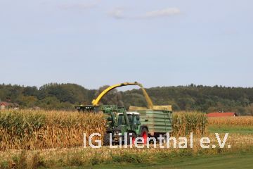 ein Hänger / Reihe ein Hänger / Reihe
