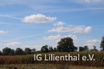 Herbstimpression Herbstimpression