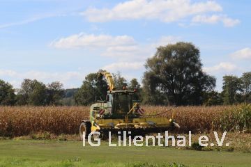 volle Breite volle Breite