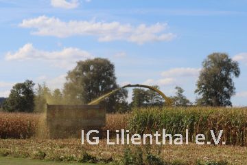 auf der Westseite auf der Westseite