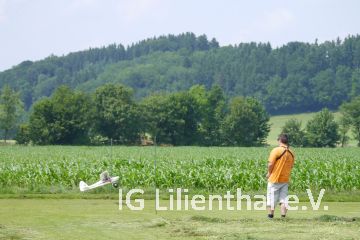 Limbofliegen Limbofliegen
