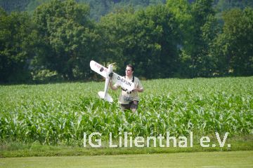 im Maisfeld im Maisfeld