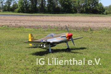 Mustang 51 D Mustang 51 D