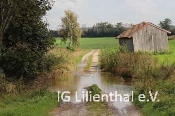 unter Wasser unter Wasser