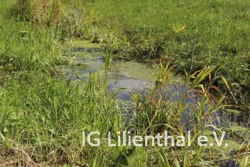 Extremwasser Extremwasser