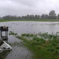 als der Regen kam