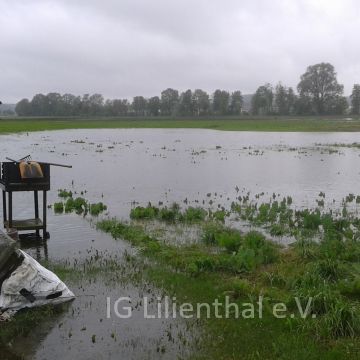 als der Regen kam als der Regen kam
