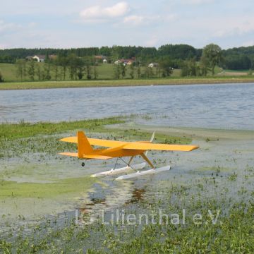 Wasserflug Wasserflug