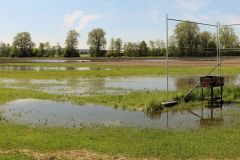 Wasserflieger im Mai