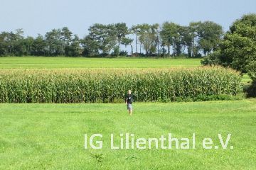 Signalgeber Tulling Signalgeber Tulling