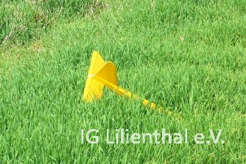 so besser nicht so besser nicht