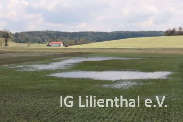 nur eine Pfütze nur eine Pfütze